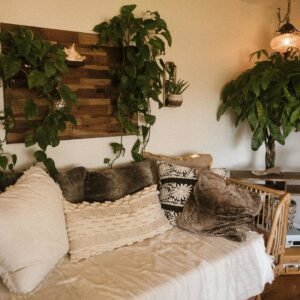 Corso - Design Naturale: creare ambienti di benessere ispirati alla Natura